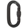 Black Diamond Oval Locker Carabiner - Schraubkarabiner